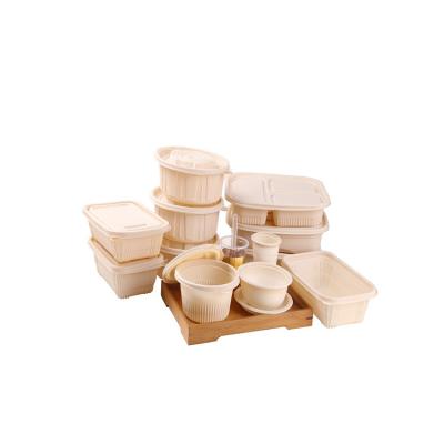 China Food China Manufacturer Factory Price Eco-Friendly Degradable Cornstarch Lunch Box for sale