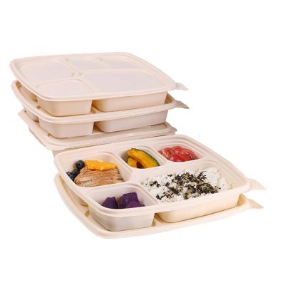 China Food Customization Disposable Degradable Takeaway Bento Lunch Box for sale