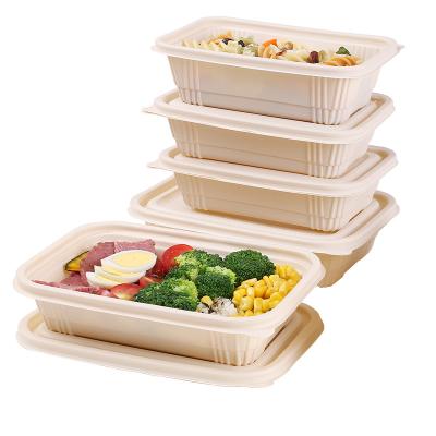 China Food Eco-friendly Biodegradable Disposable Corn Starch Takeaway Bento Lunch Box Food Container for sale