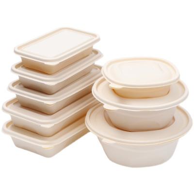 China Food Corn starch tableware food container disposable lunch box for sale