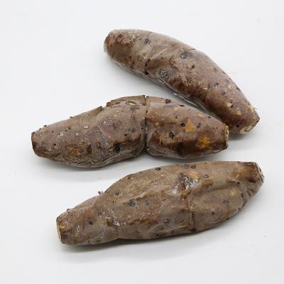 China Normal Frozen Baked Whole Sweet Potato For Sale for sale