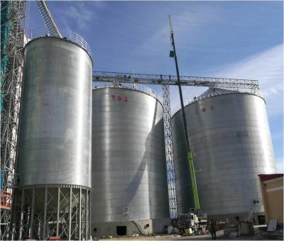 China Customizable Steel Grain Silo For Different Storage Capacities And Needs for sale