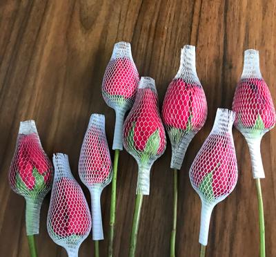 China Soft Expandable Different Colors Expandable PE Sock Wrap Plastic 1.5cm Net For Flower Bud for sale