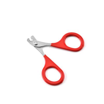 China Viable Nail Scissors Professional Stainless Steel Pet Grooming Scissors Pet Scissors Shears for sale