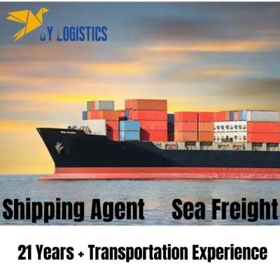 China Cheapest Door To Door Ddp Air Shipping China To Pakistan South Africa India Uae Nigeria Philippines Freight Agents Sea Freight for sale