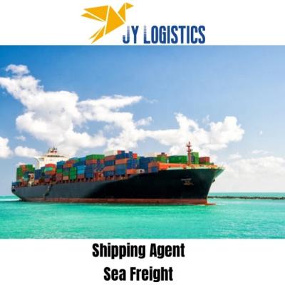 China door to door service DDP Sea/Air freight forwarder china shipping agent Cost To USA Europe France Canada UK JP Sea Freight for sale