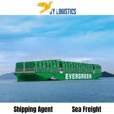 China AMAZON Door To Door Service DDP Sea/Air Freight Forwarder China Shipping Agent Cost To USA Europe France Canada UK JP Sea Freight for sale