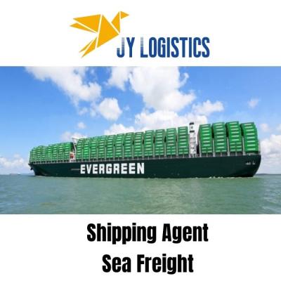 China Door to Door Service DDP Sea/Air Freight Forwarder China Shipping Agent Cost To USA Europe France Canada UK Sea Freight for sale