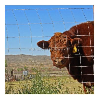 China Galvanized 5-8 ft Fixed Knot Deer Cattle Fence for Farm Field Protection Square Design for sale