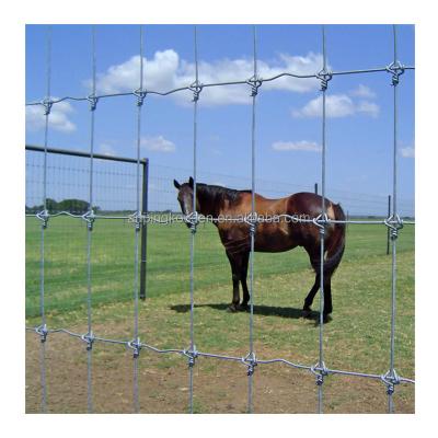 China Metal Frame Farm Fence Galvanized Fixed Knot Field Wire Hinge for Cattle Horse Sheep for sale