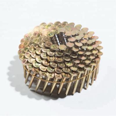 China 15 degree flat coil roofing nail /iron roofing nail / wire collated galvanized coil roofing nails for sale