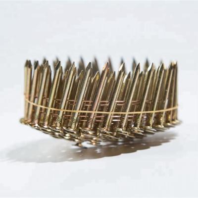 China Iron coil nail/1 1 4 coil roofing nails/plastic assembled coil nails common coil nails for sale