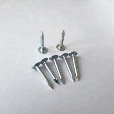 China Flat Galvanized Rag Nails / 1 Inch Linoleum Nails EG Roofing Nail for sale