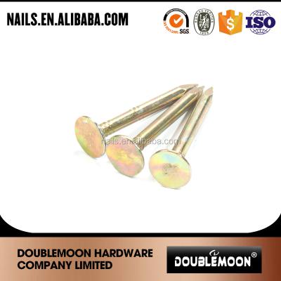 China Flat Galvanized Rag Nails/1 Inch Linoleum Nails With Good Price for sale