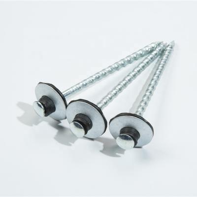 China Flat Twisted Shank Screw Nail With Joint / Building Nail for sale