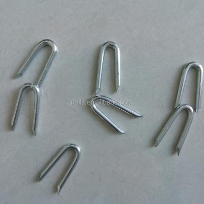 China Flatbed 1 Inch Galvanized U Type Factory Nails Insulation for sale