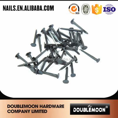 China Blue Iron Fine Shoe Toe Strip Nails for sale