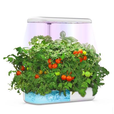 China Modern High Quality Special Design Flower Home Indoor Hydroponic Garden for sale