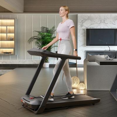 China 2022 New 2022 New Home Indoor Running Sports Exercise Equipment Treadmill Wholesale Indoor Gym for sale