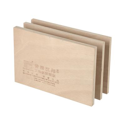 China Modern hot sale the newest wood panel high quality plywood newest style fireproof plywood for sale