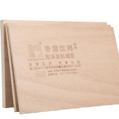 China Modern B1 Plywood Fire Resistant Panel Veneered E0 Panel Eucalyptus Fire Retardant Plywood for sale