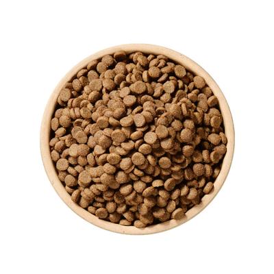 China Wholesale High Protein Pet Food High Level Cat Food Viable Dry Cat Food Cheap Cats for sale