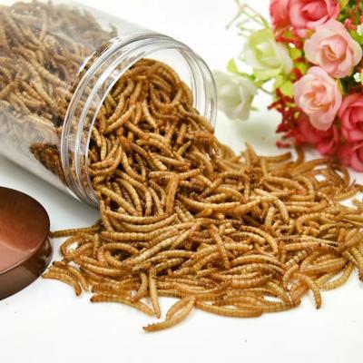 China Viable Dried Mealworm Tilapia Fish Feed Mealworms Dried Bulk Mealworm Dried for sale