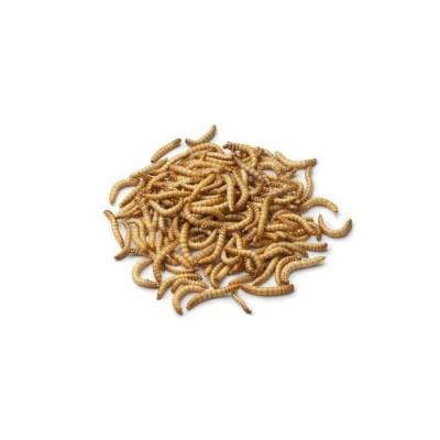 China Viable Pets Dry Food Mealworms Dry Powder For Chickens Dried Mealworm Tilapia Fish Feed for sale