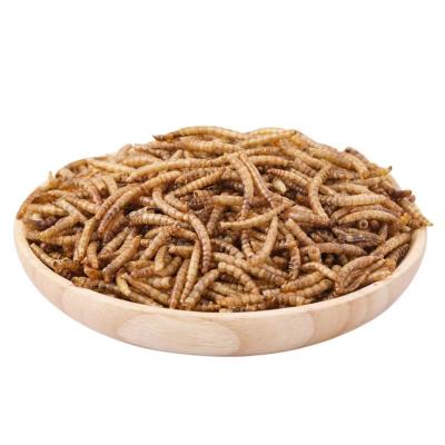 China Viable Dried Mealworms For Catfish Yellow Dried Mealworm Feed For Chickens for sale