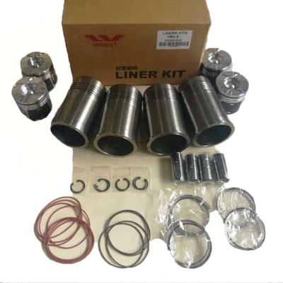 China VM R425 2.5 Turbo Diesel Engine Rebuild Kit Auto Turbo Engine Parts Standard Size for sale