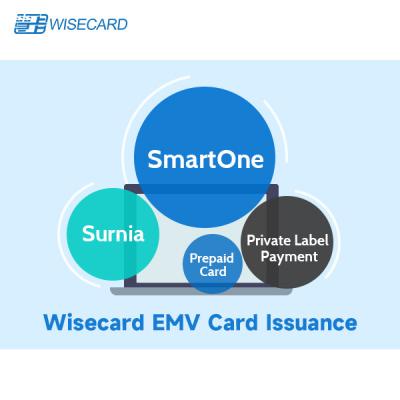 China Enhanced EMV Personalization Solution for Secure Payment Card Customization for sale