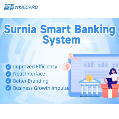 China Wisecard Smartbanking Web Based Structure For Secure Online Banking Transactions for sale