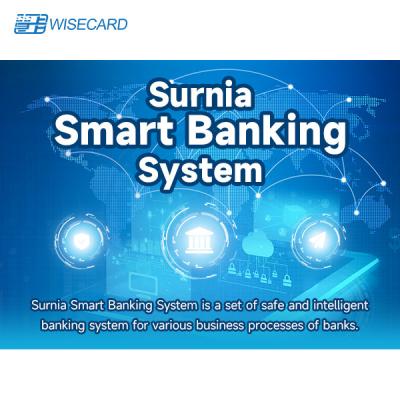 China Smartbanking Web Based Structure Banking Wisecard Banking System for sale