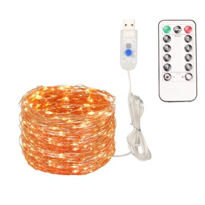 China Customzied 50 60 100 200 LED Fairy 5m 6m 10m 20m Copper Wire USB Powered String Lights For Party Christmas Wedding With Outdoor for sale