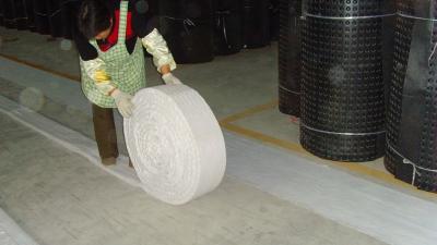 China Hdpe de Horizontale Drainage van Geocomposite van het Strookafvoerkanaal Te koop