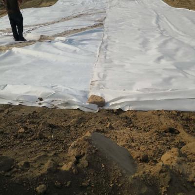 Cina fodera non tessuta della geomembrana del geotessile 1.5mm LLDPE 300gsm per lo stagno di pesce in vendita