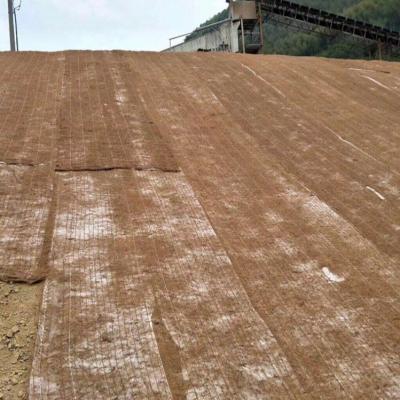 China Coconut Turf Reinforcement Mat (TRM) Erosion Control Blanket ( ECB) For slope protection to reinforce the root system for sale