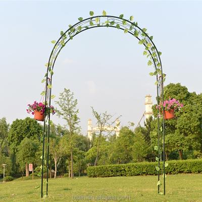 China Easily Assembled Metal Outdoor Garden Rose Flower Arch / Decorative Garden for sale