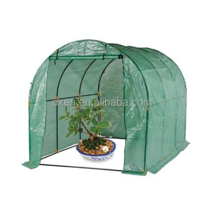 China Easily Assembled Layers Frame Greenhouse Garden House / Greenhouse Greenhouse Walkway / Tunnel Garden for sale