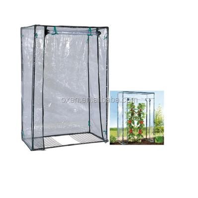 China easily assembled mini green house / small green house green house with pvc coating for sale