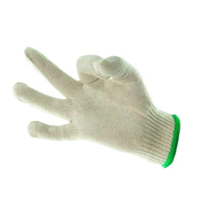 China Hands Protection for Working Examination Gloves Hot Selling Labor Safety Safety Gloves White Cotton Work Gloves for sale