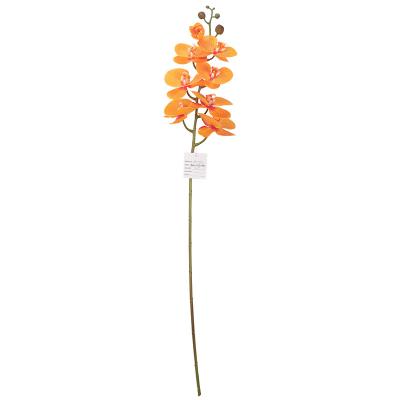 China Real Latex Phalaenopsis Flower Touch Moth Orchid Flower Latex Orchids For Home Decoration Wedding Decorative Artificial Flowers for sale