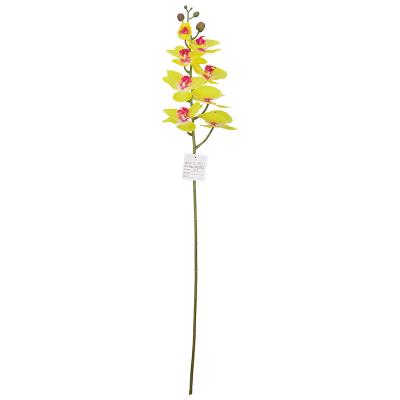 China Artificial Latex Real Touch Orchids Flowers Latex Phalaenopsis Stems For DIY Living Room Kitchen Hotel Party Home Office Decoration for sale