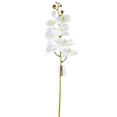 China 8 Heads HongHua Latex Fake Real Touch Phalaenopsis Butterfly High Quality Artificial Orchid Real Touch Orchid Silk Latex Coated Decor for sale