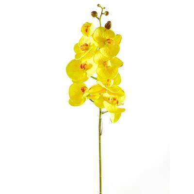 China Wholesale Touch Real Latex Fake Butterfly Orchid Flower Artificial Phalaenopsis Home Wedding Decoration DIY Latex Orchid For Sale for sale