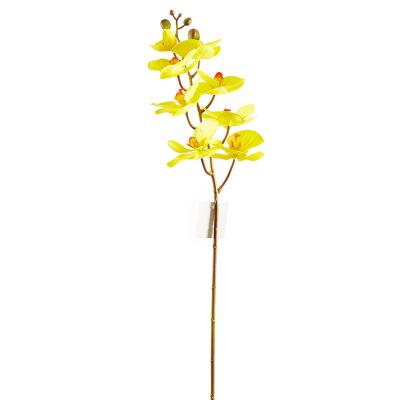 China HongHua Latex High Quality Best Price Touch Latex Moth Orchid Artificial Flower Natural Butterfly Orchid For Amazon for sale