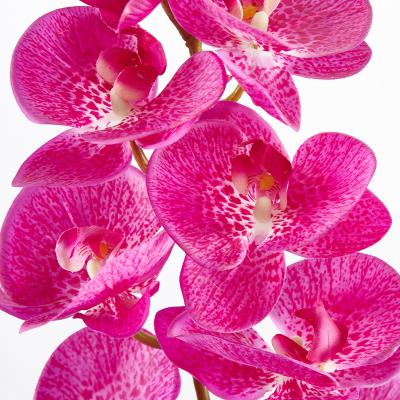 China Latex Plant Flowers Orchid Phalaenopsis Real Touch Latex Artificial Flowers Stem Artificial Bouquets For Walmart Hobby Lobby for sale