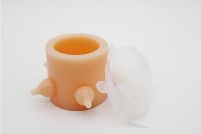 China Silicone Puppy Nipple Feeder 5 Nipples Puppy Kitten Pet Milk Bowl Feeder Puppy Feeder for sale