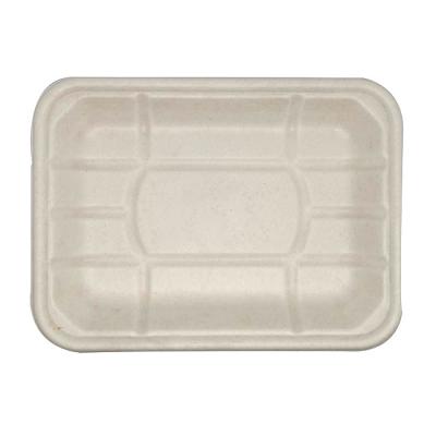 China Disposable Pulp Tray Disposable Paper Dishes Paper Fruit Tray Holder Disposable Sugarcane Pulp Food Container for sale