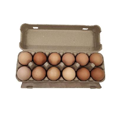 China Hot Sale 12 Egg Rack Materials Factory Price Biodegradable Recycled Pulp Box Paper Egg Tray High Quality Boxes for sale